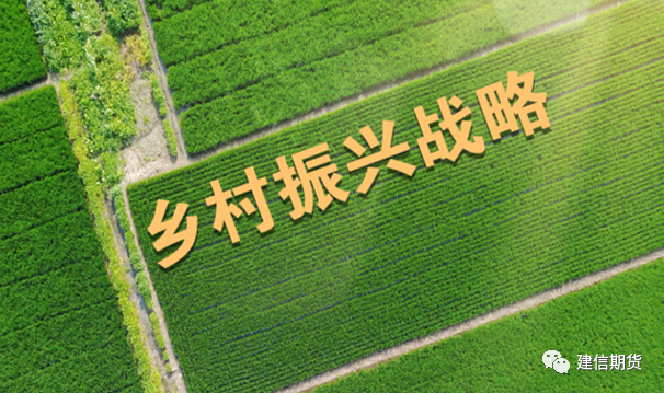 【乡村振兴】建信期货2022年“大商所农保计划”广西都安县养殖分散项目顺利实施