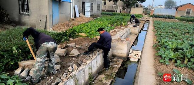 南京栖霞大棚村城市治理志愿服务队助力灌溉渠修缮