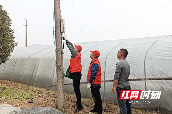 国网醴陵市供电公司：“满格电”助力温室大棚育出致富苗